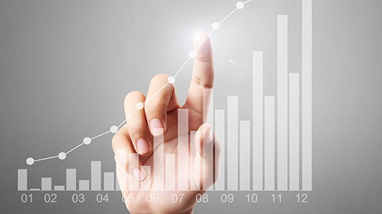 查看投资者资源